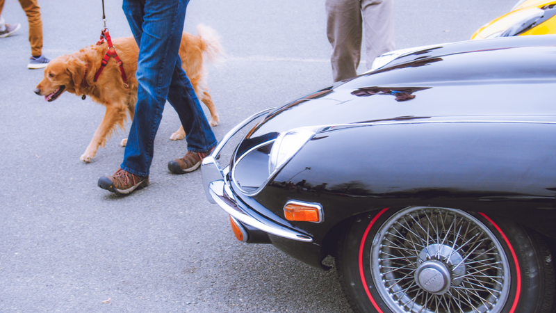 Illustration for article titled Show Us Your Cars And Coffee Pictures!
